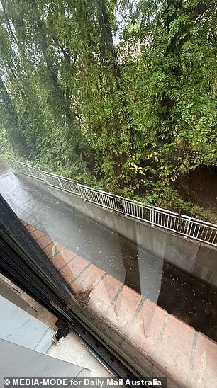 The narrow windowsill and the huge trap outside Samia's bedroom window