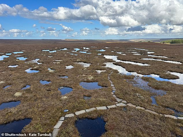 Scotland's Flow Country is the first peatland area to be recognized by UNESCO. The NYT adds: 'It is one of the largest carbon sinks in the world, making it crucial in the fight against climate change'