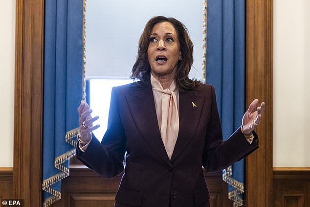 Vice President Kamala Harris took over Biden's re-election campaign in late July