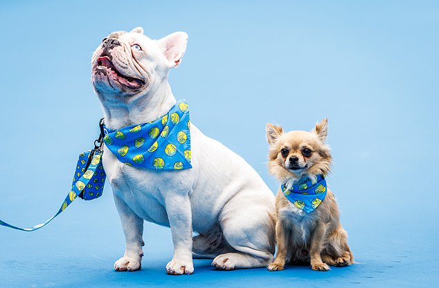 The Australian Open also sells branded dog leashes, dog bandanas and collars