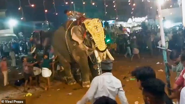 Elephant riders can be seen nearby comforting the distressed animal and removing some of the jewelry it is wearing in an attempt to alleviate its aggression