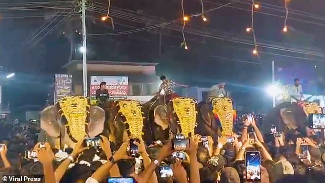 The festival is known for its beautiful elephant processions, where decorated elephants march to the beat of drums