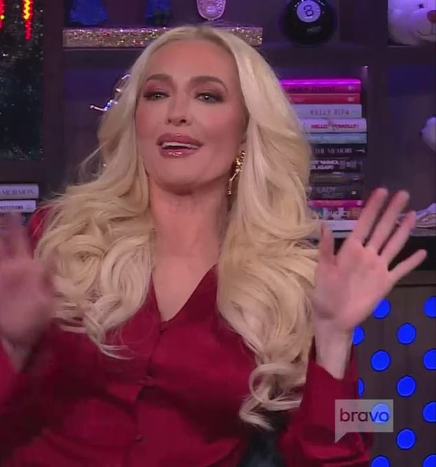 Real Housewives Of Beverly Hills star Erika Jayne joked, “Wait, I kind of have to see it. Is it fun?'