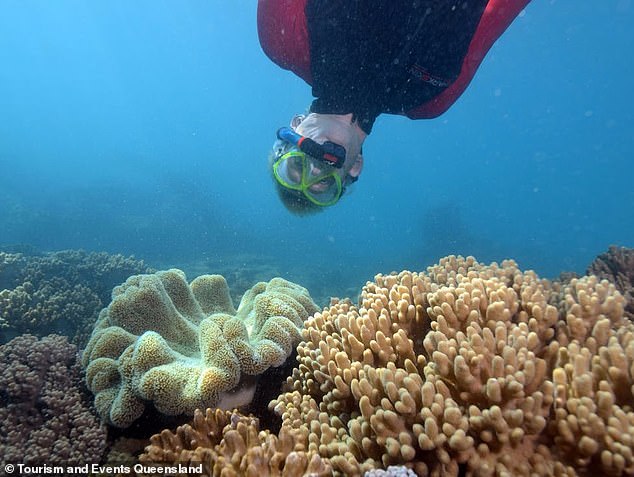 Swimmers can follow the marked path at Geoffrey Bay to see colorful marine life, including 30-year-old giant clams