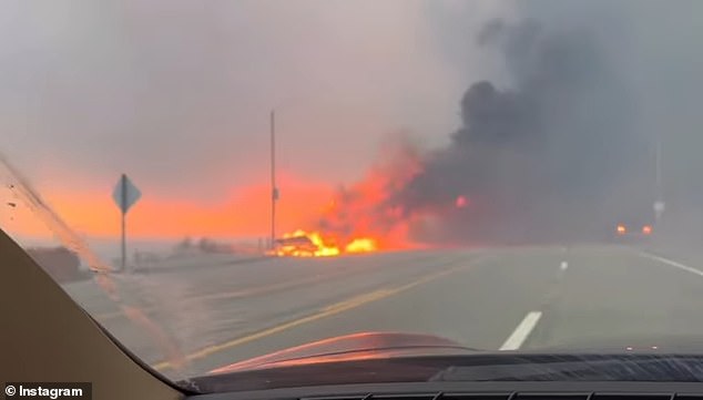 As she drove along the Pacific Coast Highway, flames appeared on both sides of the road