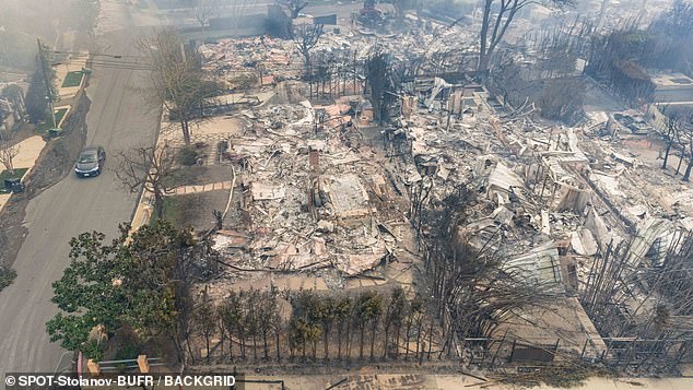 Anna Faris' $5 million eco-friendly abode was completely decimated by the fire