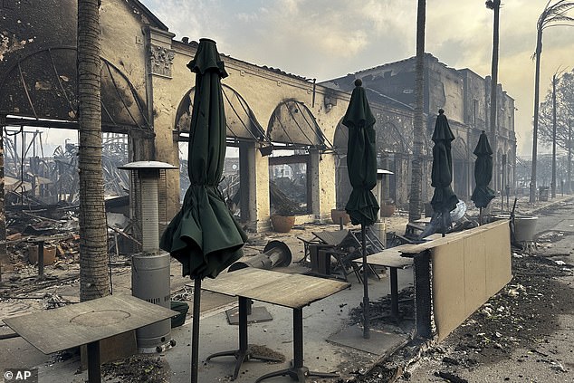 However, destroyed businesses are still seen after the Palisades Fire swept through