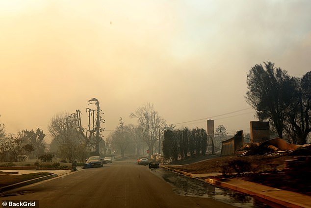 The rest of the street looked like something out of an apocalyptic movie with abandoned cars on the street and only the remains of destroyed houses left behind