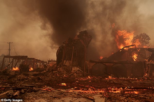 The LA fires have also reached the suburbs, including the affluent Pacific Pallisades neighborhood, where celebrity homes have been reduced to ash and rubble