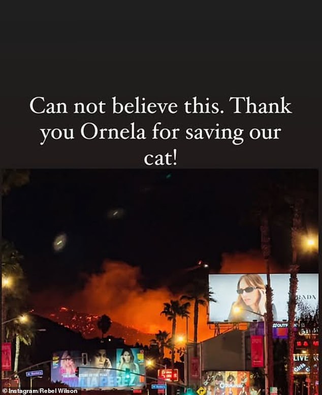 Rebel shared a terrifying image taken by her friend Ornela of the West Hollywood skyline going up in flames. While it's unclear how badly Rebel's home was affected by the fires, she did reveal that her cat had to be rescued from the encroaching flames.