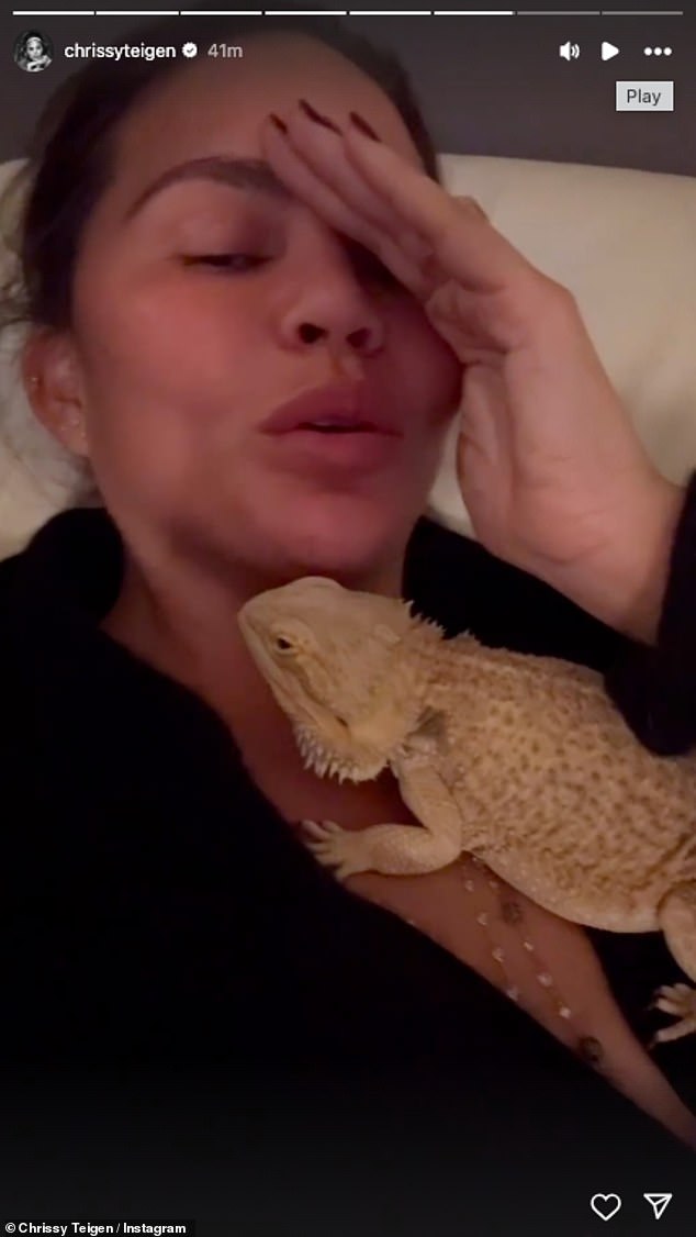 She shares several clips in her story with the family's bearded dragon Sebastian, telling her fans that they couldn't have left him at home