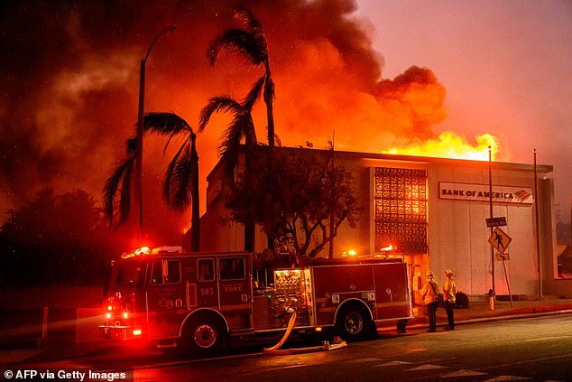 Since the fires began, a litany of failures by LA city officials have been exposed, involving fire hydrants not being filled with water