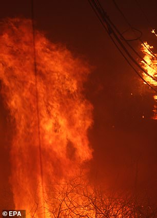 Pacific Palisades wildfire massacre