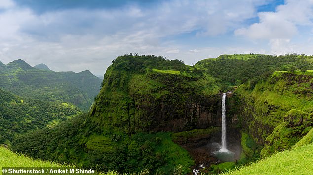 The Western Ghats of India is another area that has been discovered to be home to large numbers of endangered species