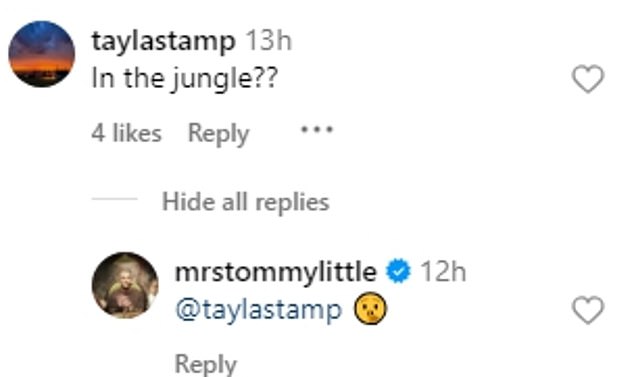 The radio star further fueled speculation that he would be starring in the show by simply responding to a fan's comment with the silent face emoji.