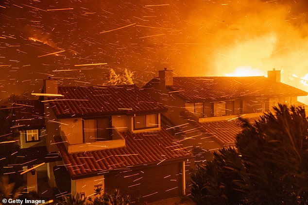 A perfect storm of overgrown vegetation, dry conditions and uncharacteristic winds are responsible for causing the most destructive wildfire Los Angeles has ever seen