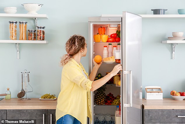 Refrigerators are one of the largest energy consuming appliances and run non-stop