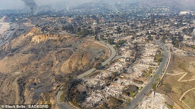 The widespread devastation is becoming increasingly apparent as celebrities share their devastation after discovering they have lost their homes. An aerial photo captures the fire devastation of the Pacific Palisades, with miles of ash and destruction