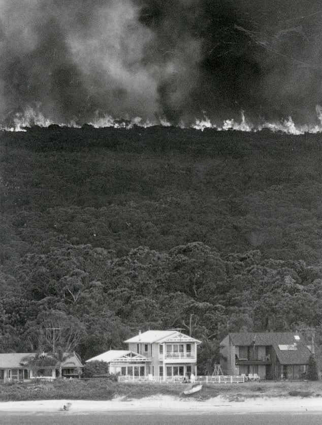 A wall of fire that engulfed beachfront homes during the Sydney fires 30 years ago