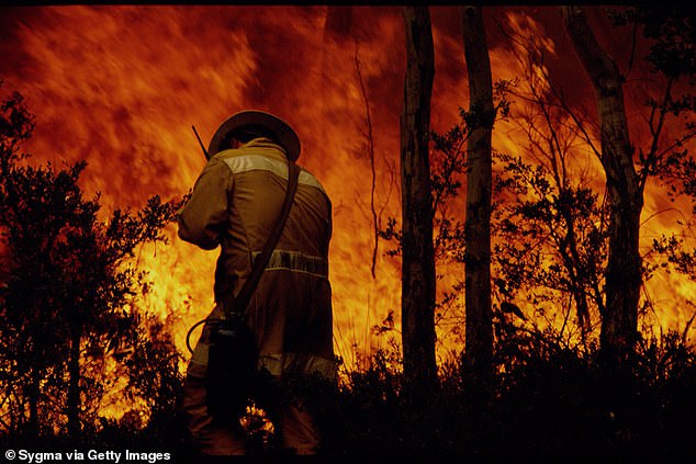 The fires burned about 2 million hectares of land in NSW, from Sydney to the Queensland border