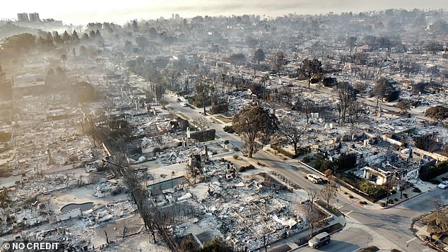 Pacific Palisades was all but wiped out by the devastating inferno