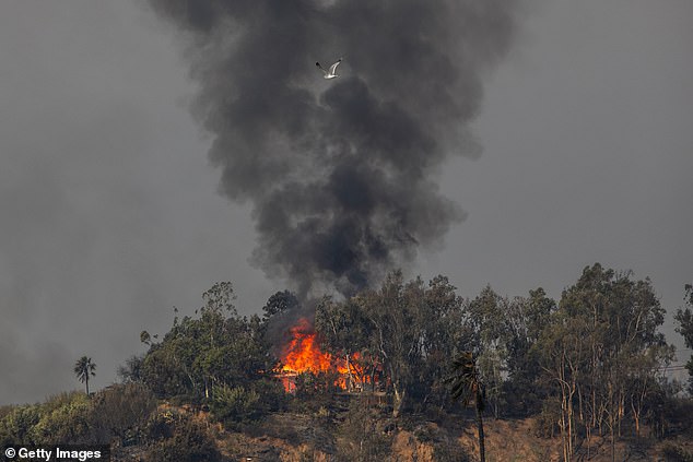 Flames (seen above) from the Palisades Fire burns a home Thursday amid a powerful storm