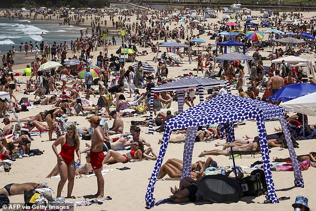 Beach cabanas and their much-needed shade have become increasingly popular on Australia's beaches