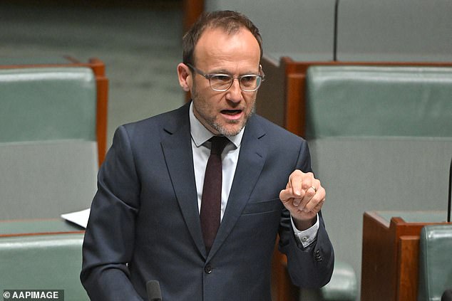 Should Albo lead a minority government, Greens leader Adam Bandt will likely be in the box over whether the prime minister stays or leaves.