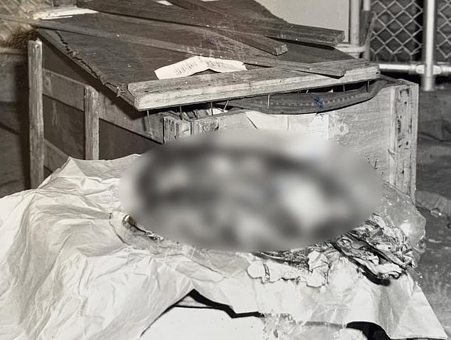 The baby's body was found in a postal parcel (pictured) sent to a post office in Darwin almost 60 years ago