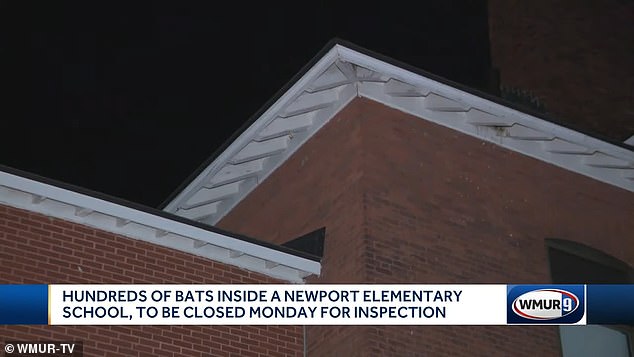 “I won't let anyone into the building until I'm sure it's safe. Now I know there is a problem, now I have to deal with it,” Magoon said. “If anyone ever got hurt, that wouldn't be OK. I would be devastated.”