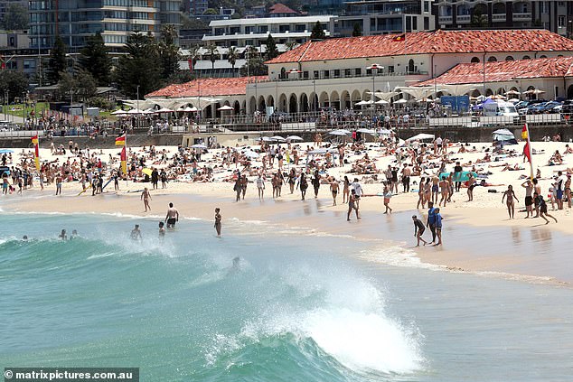 Beachwatch would also test water samples for dangerous bacteria such as E.Coli, which can cause diarrhea, vomiting, fever and loss of appetite (photo Bondi Beach in Sydney)