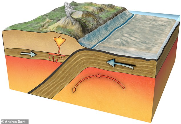 Seismic activity can be detected along tectonic plate boundaries, where the plates grind against each other. But in the distant past, large plates have disappeared into the Earth's mantle through 'subduction'