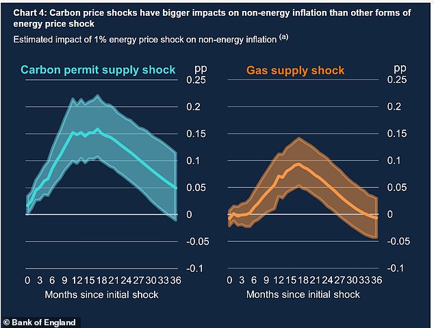 The Bank of England compared the impact of the gas supply shock with the carbon permit supply shock