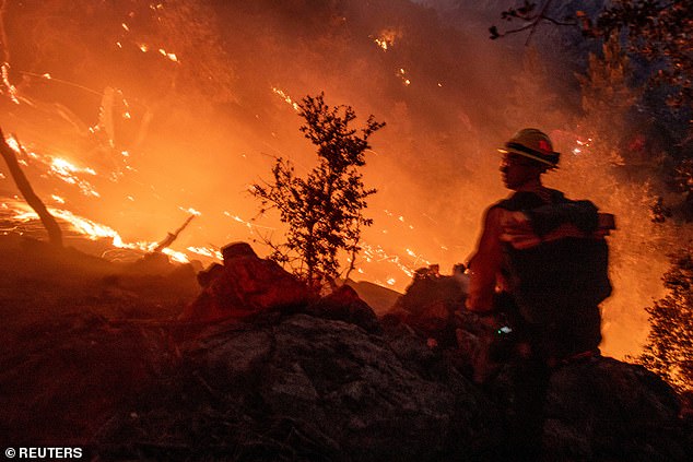 A firefighter battles the blaze in the Angeles National Forest near Mount Wilson as wildfires burn in the Los Angeles area during the Eaton Fire in Altadena