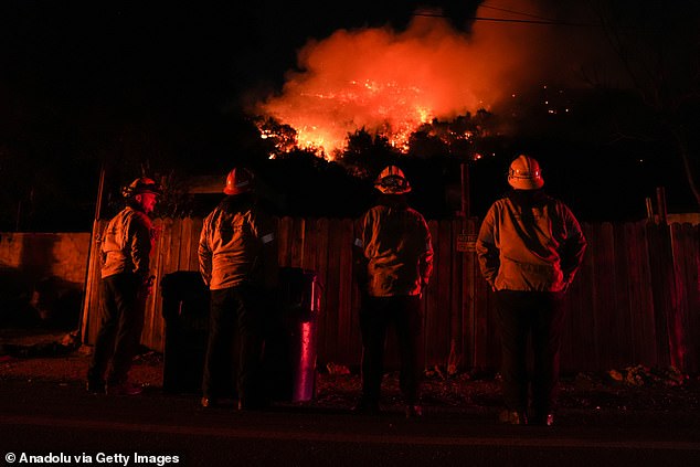 The wildfires have wreaked havoc in the Los Angeles area, killing at least 10 people