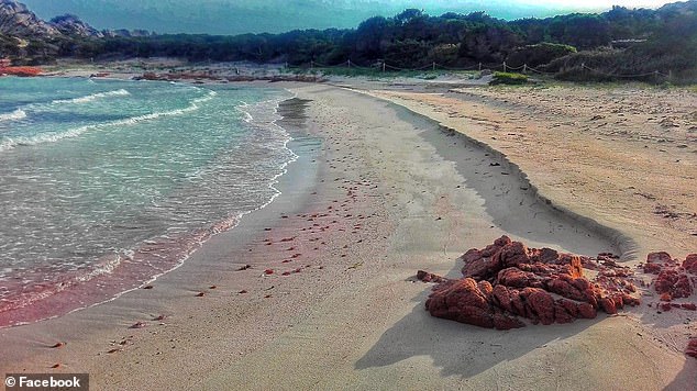 He washed up on the island's pink Spiaggia Rosa beach in 1989 when his catamaran's engine failed while sailing to the South Pacific.