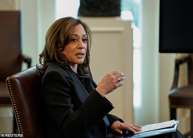 US Vice President Kamala Harris speaks during a briefing on the federal response to the Los Angeles wildfires