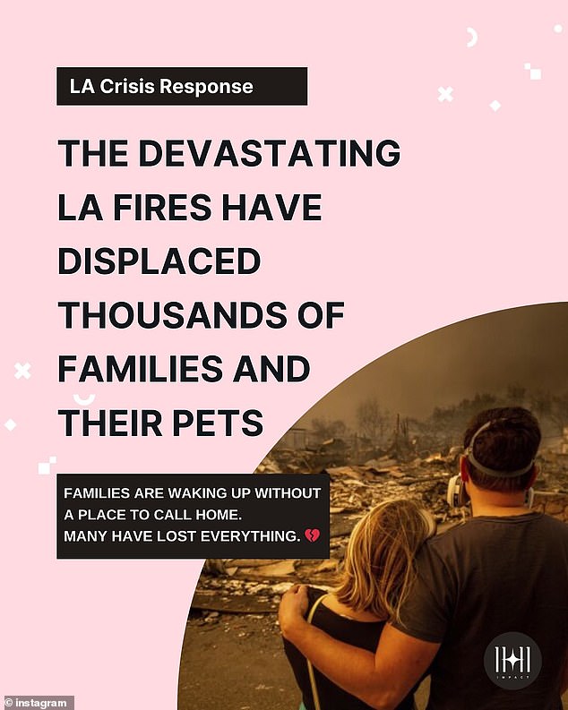 The socialite announced on her Instagram page that she had set up an emergency fund to support families and their pets displaced by the fires.