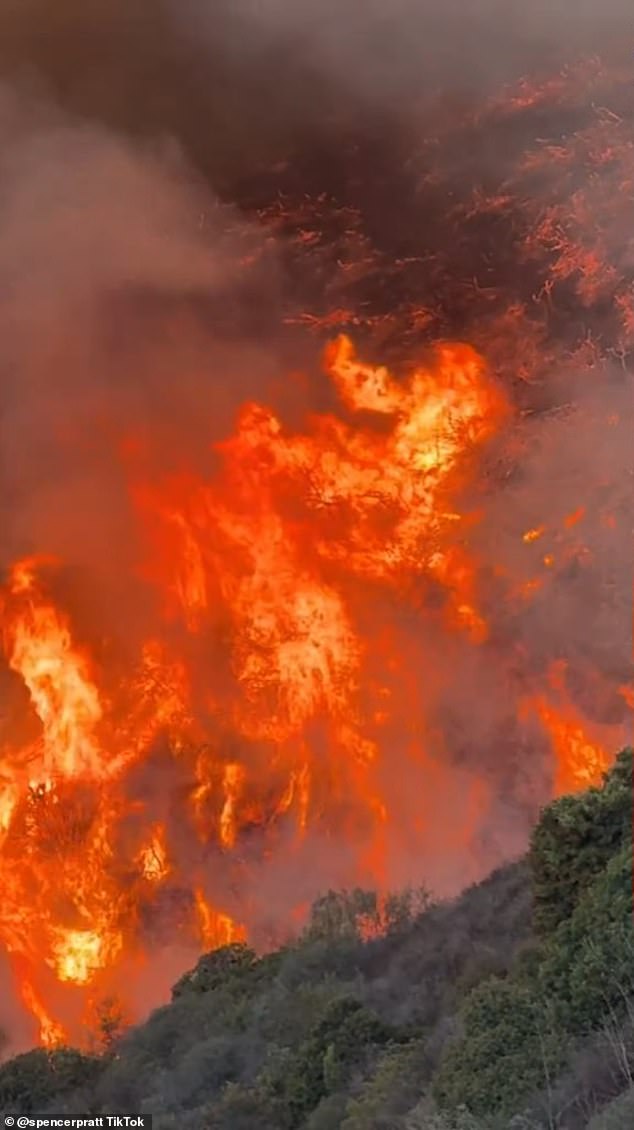 The only parts of the house still standing were the charred entrance gate and the front part of the house's plastered perimeter wall. Large piles of debris were seen throughout the property, as well as burned foliage that once decorated the home's front yard