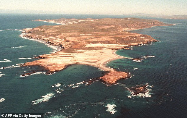 The parasite Pachysentis canicola was first discovered on San Miguel Island in Santa Barbara County (pictured) after researchers found native animals dead or severely emaciated in 2012.