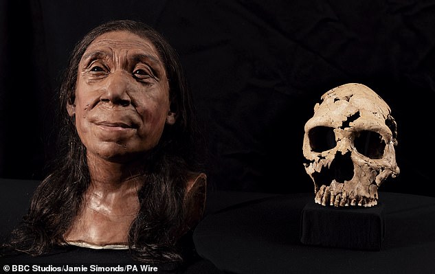 Pictured: A reconstructed head and reassembled skull of Shanidar Z, a 75,000-year-old Neanderthal skeleton