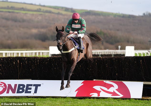 Handstands is another talented novice fighter at the Pauling yard and he won the Towton