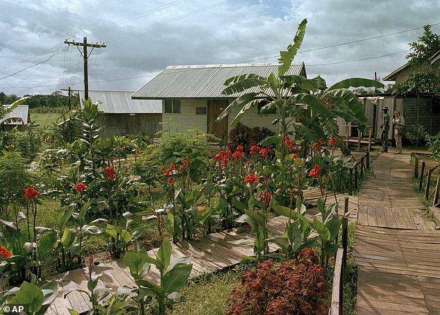 Hundreds of people, mostly Americans, lived on the site in Jonestown before their horrific deaths in November 1978.