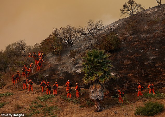 According to state authority Cal Fire, there are currently at least six fires burning, with the Palisades fire being the largest