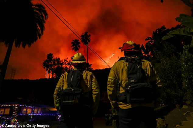 The Hollywood Hills went up in flames and Reynolds had to act quickly to help her friend who was just minutes away in Runyon Canyon, she told 9news.com.au