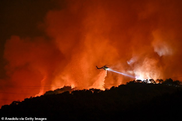 The disaster has already killed at least 11 people and destroyed more than 10,000 structures, including many celebrity mansions (photo: Palisades Fire)