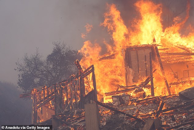 The Pacific Palisades Fire started Tuesday morning amid strong Santa Winds and is currently 11% contained as of Saturday; taken in Mandeville Canyon on Saturday