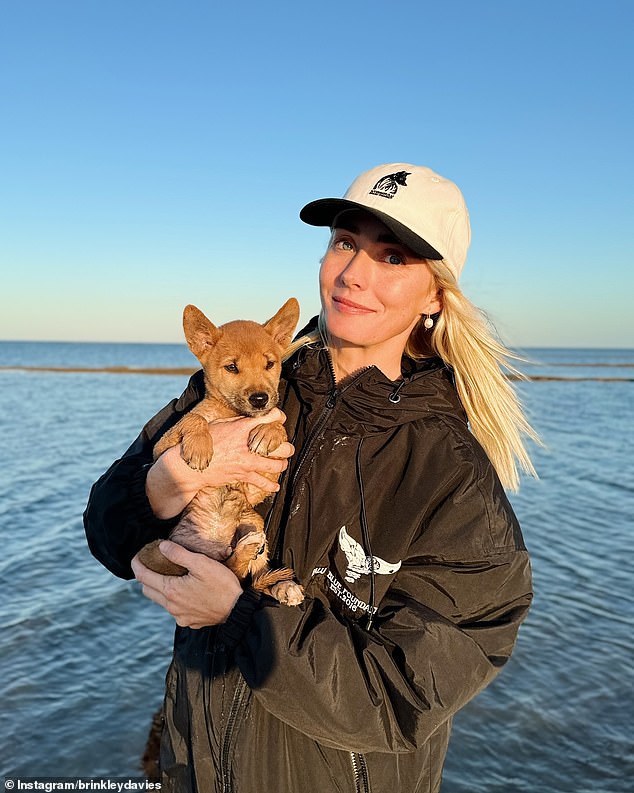 Diver and naturalist Brinkley Davies said the dingo was vital to its species in the area