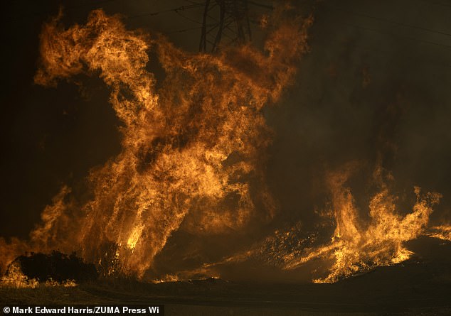 Flames cross a fire road above Mandeville Canyon yesterday during the Palisades Fire