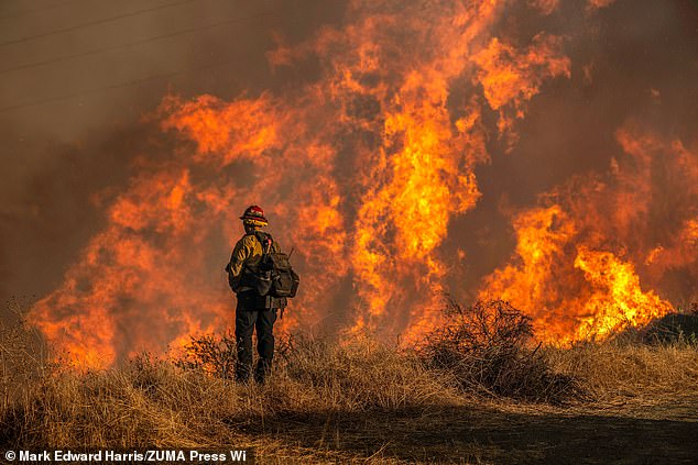 Firefighter at a fire road above Mandeville Canyon during the Palisades Fire on January 11, 2025